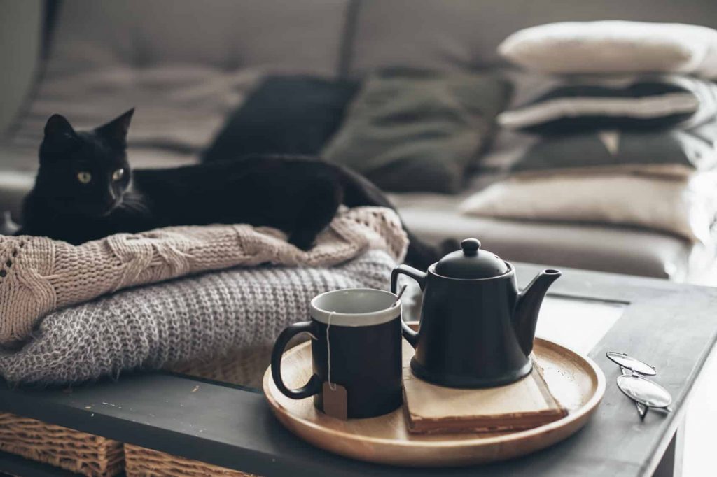 Autumn mornings