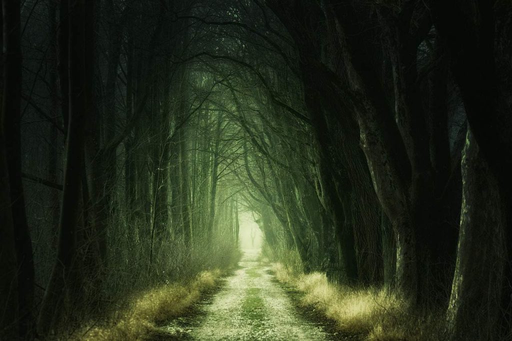 understanding nightmares